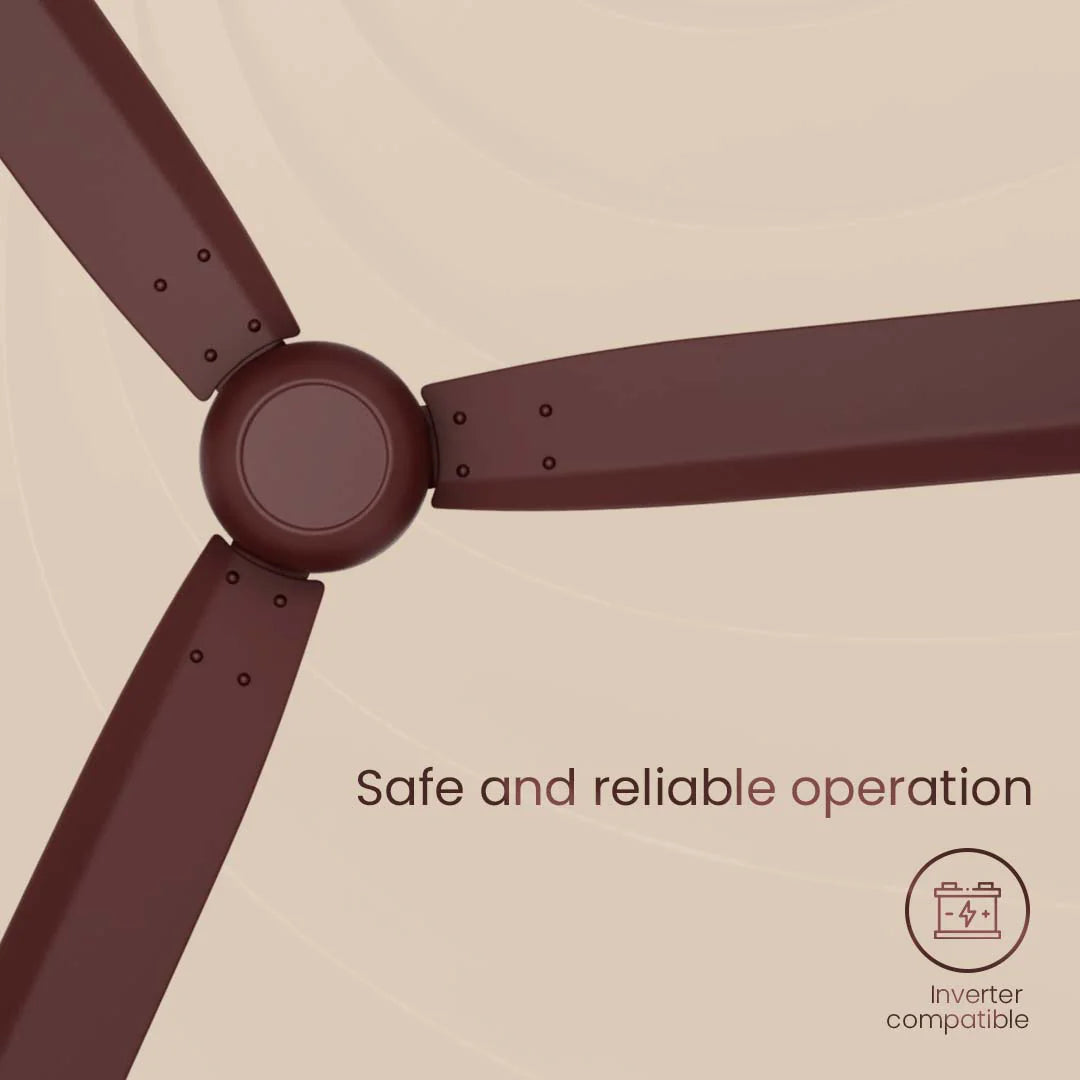 Crompton Energion Cookie BLDC Ceiling Fan