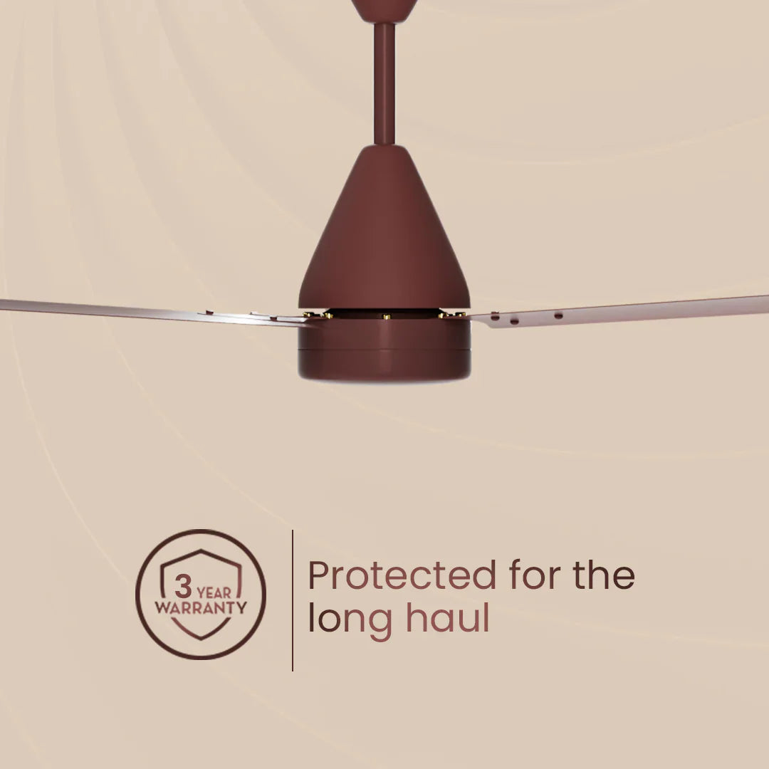Crompton Energion Cookie BLDC Ceiling Fan