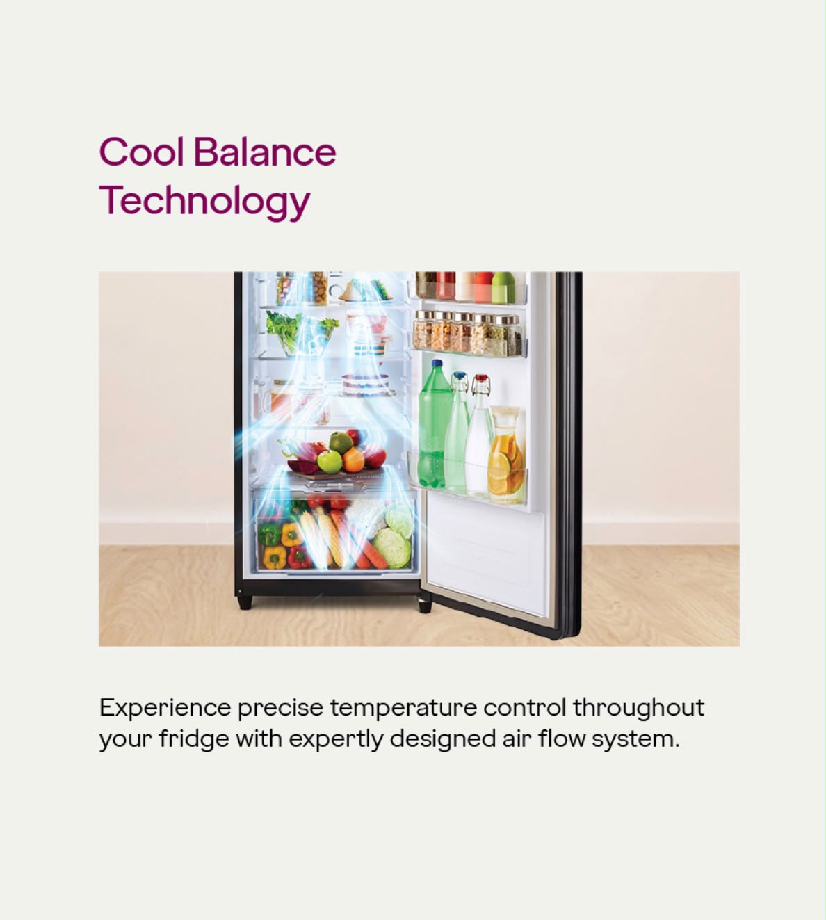 Eon Valor - Frost Free 244 Litre 2 Star Fossil Steel