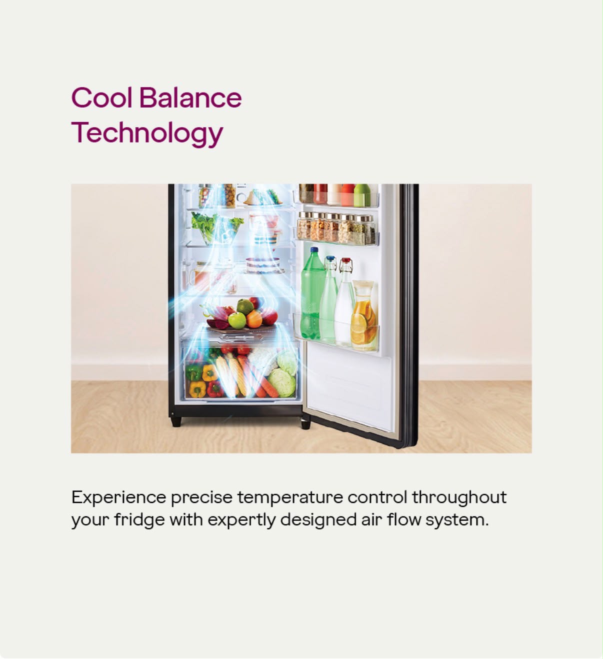 Eon Valor Freezer Convertible - Frost Free 244 Litre 3 Star Fossil Steel