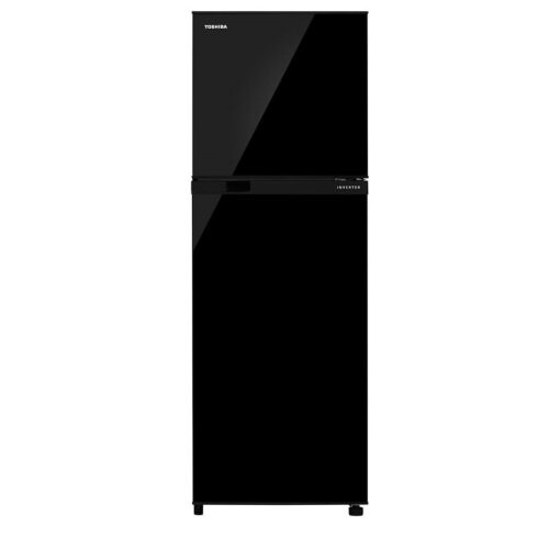 Toshiba 252 L 2 Star Frost Free Real Inverter(Gr-Rt302We-Pmi(Uk)Black)