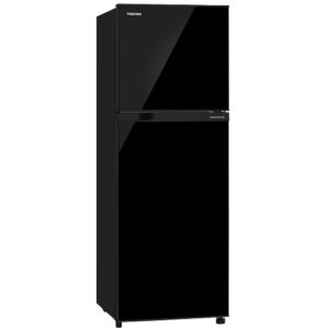 Toshiba 252 L 2 Star Frost Free Real Inverter(Gr-Rt302We-Pmi(Uk)Black)
