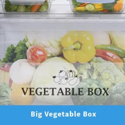 SHARP 265 L 2 Star Double Door Refrigerator (SJ-FF305V2)