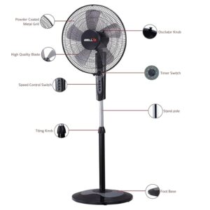 IBELL CHROME10 5 Leaf Pedestal Fan with Timer. High Speed motor - Black