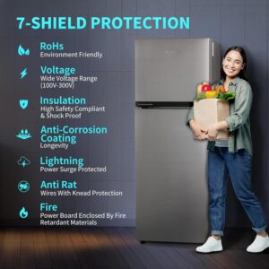 SHARP 265 L Frost Free Double Door 2 Star Refrigerator |Japan 7 Shield Protection|Hi-Tech Inverter | (Silver Hairline, SJ-FF305V2-PSH)