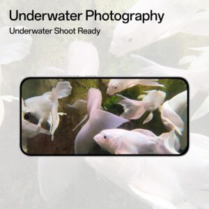 OPPO Reno14 5G (Pearl White, 12GB RAM, 256GB Storage)