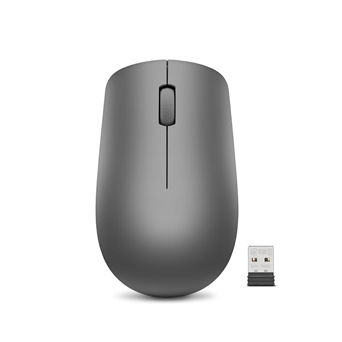 Lenovo 530 Wireless Mouse (Graphite)