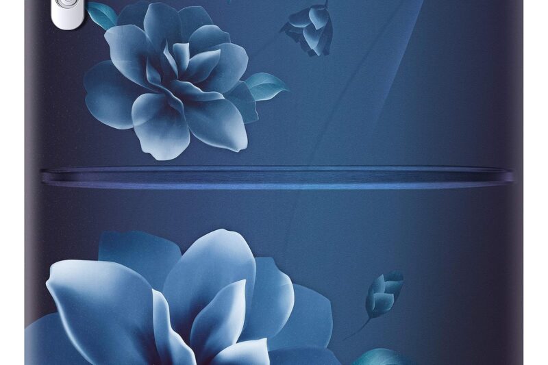 Samsung 183 L, 3 Star, Digital Inverter, Direct-Cool Single Door Refrigerator (RR20C1823CU/HL)