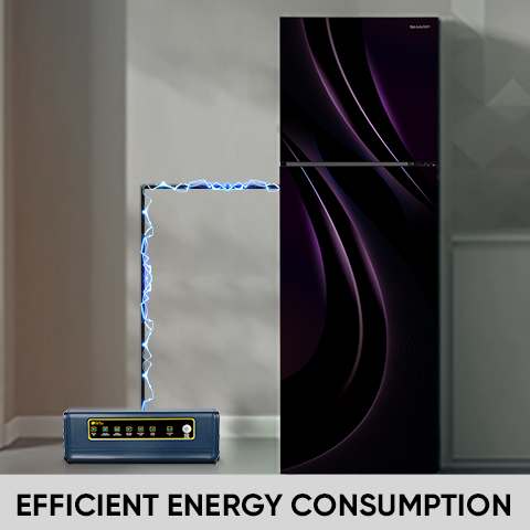 SHARP 265 L 2 Star 7 in 1 Convertible mode Frost Free Double Door Refrigerator | Japan 7 Shield Protection | Hi-Tech Inverter | ISI Certified Mirror Glass Finish Door | (Galaxy Strom, SJ-FF305V2-GKG)