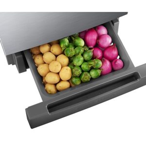 236L Base Stand Drawer Double Door Refrigerator RT28C3122S9