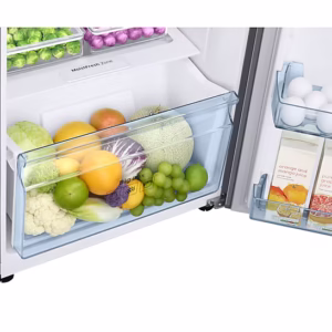 in-double-door-rt28c3732s8-hl-detail--silver-535578793 236 L Convertible Freezer Double Door Refrigerator RT28C3732S8