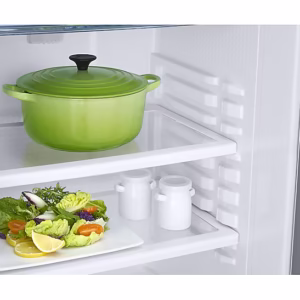 183 L Stylish Grandé Design Single Door Refrigerator RR20C2Y23S8